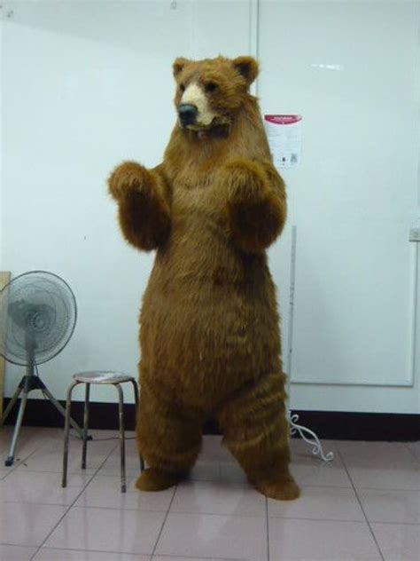 Grizzly bear mascot costumee